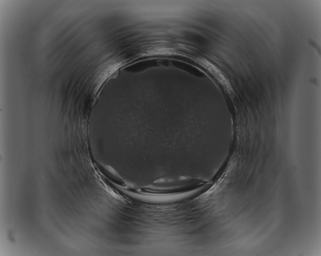 X0000095541337200712141516