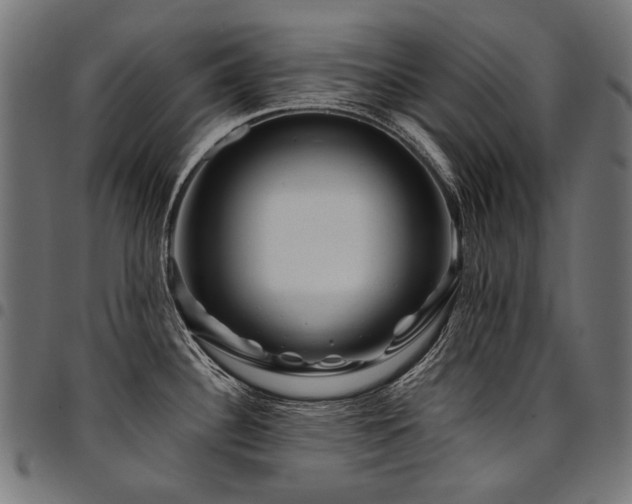 X0000095541340200712141516