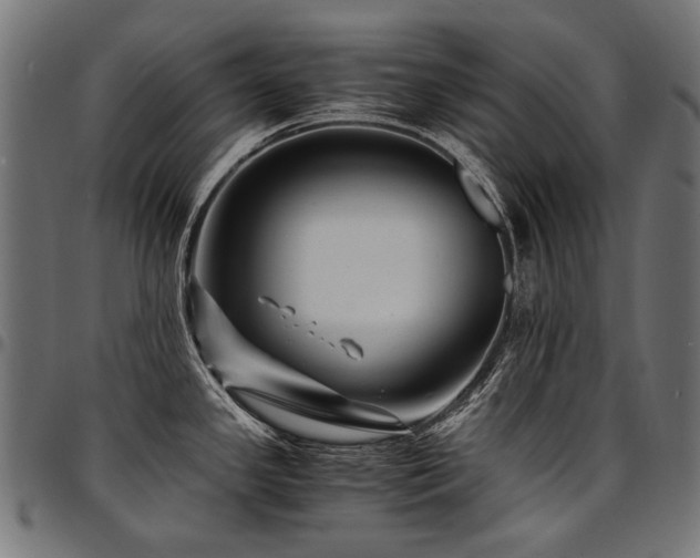 X0000095541341200712141516