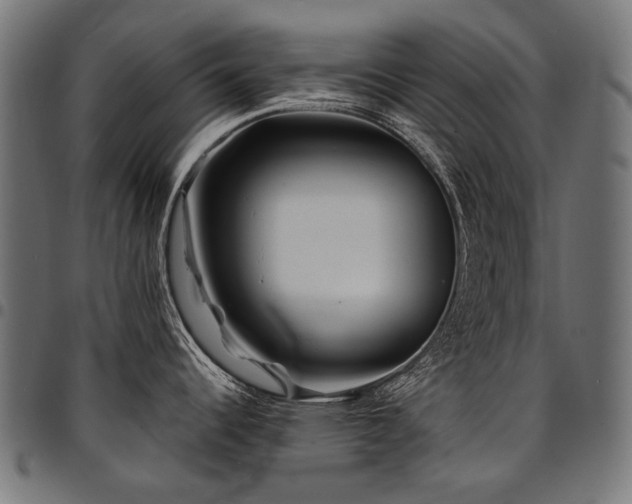 X0000095541344200712141516