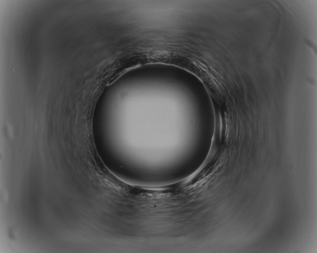 X0000095541345200712141515