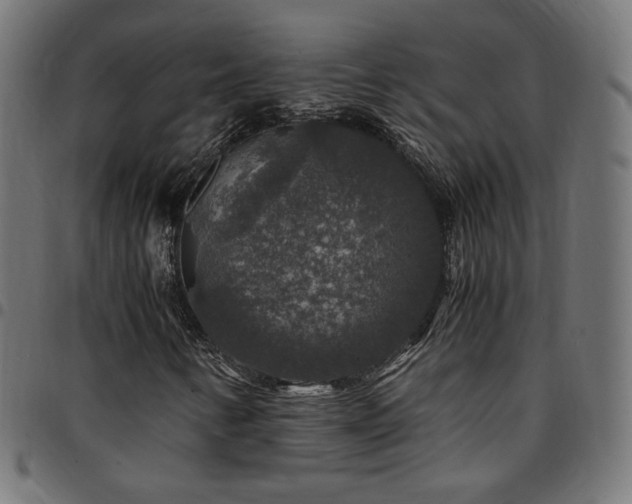 X0000095541346200712141515