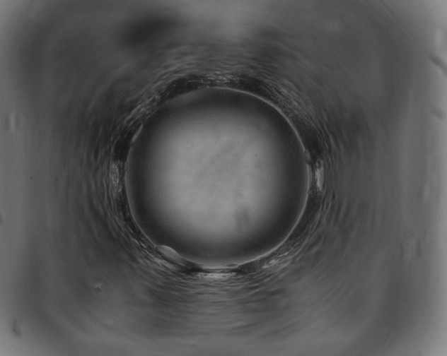 X0000095541347200712141515