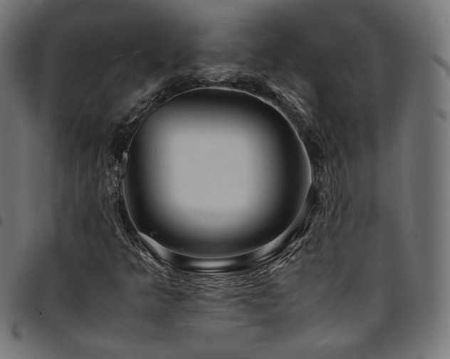 X0000095541349200712141515