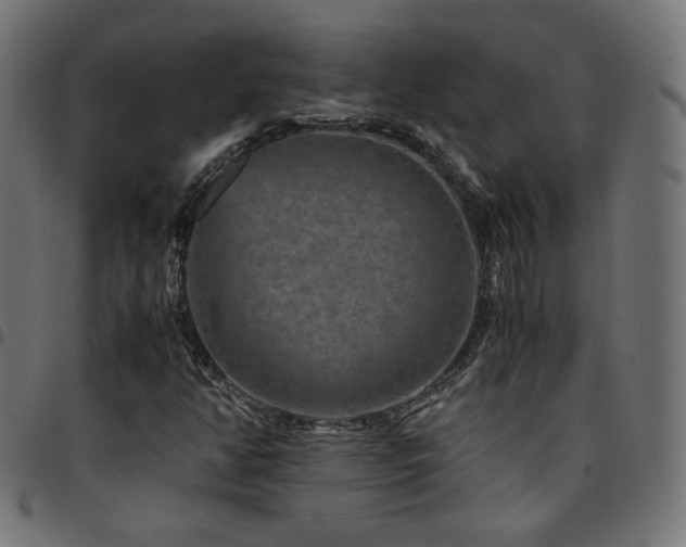 X0000095541350200712141515