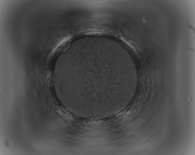 X0000095541351200712141515