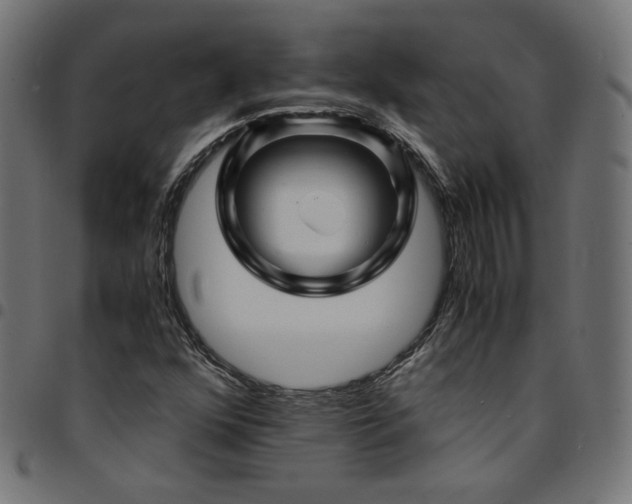 X0000095541352200712141515