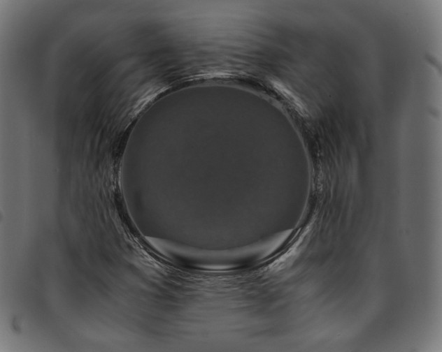X0000095541353200712141515