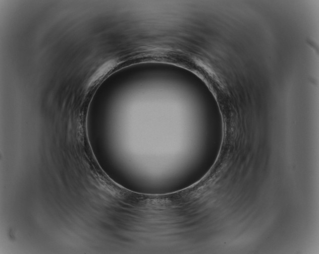 X0000095541354200712141515