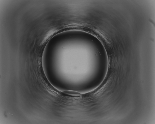 X0000095541355200712141515