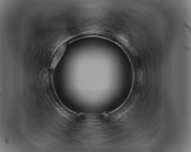 X0000095541356200712141515