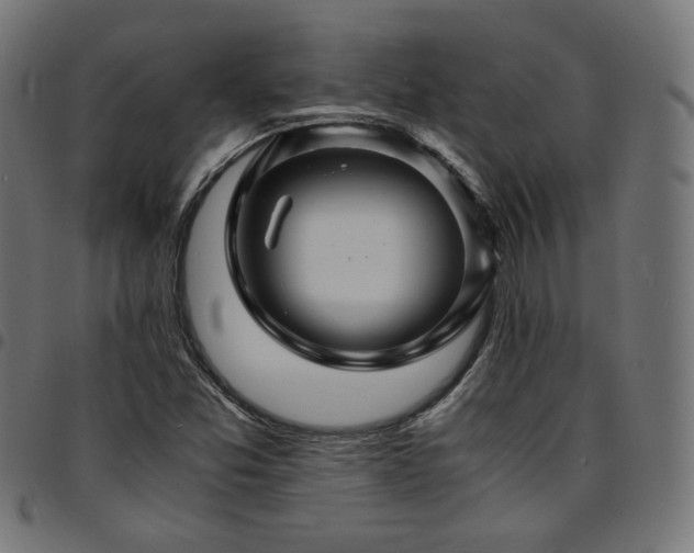 X0000095541357200712141515