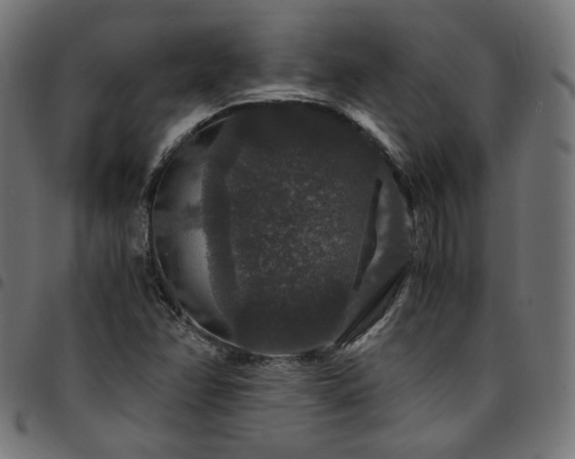 X0000095541358200712141515