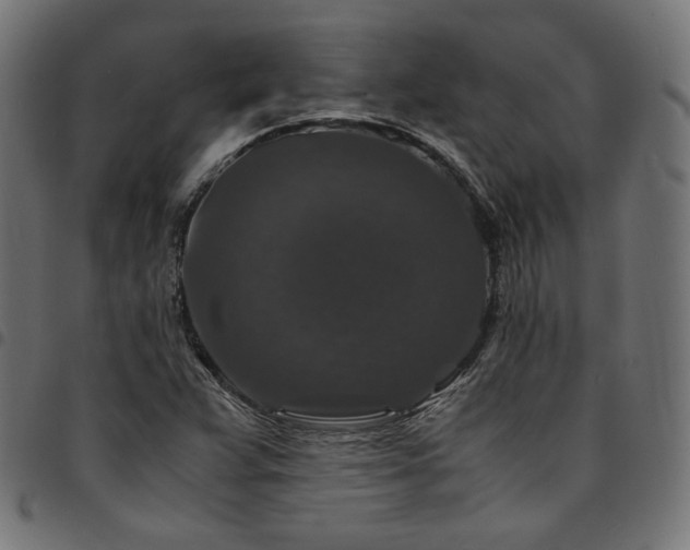 X0000095541359200712141515