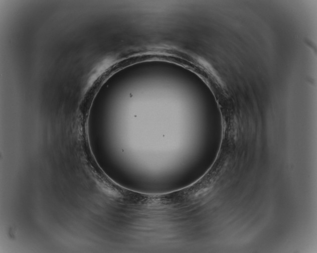 X0000095541360200712141515