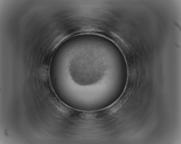 X0000095541361200712141515