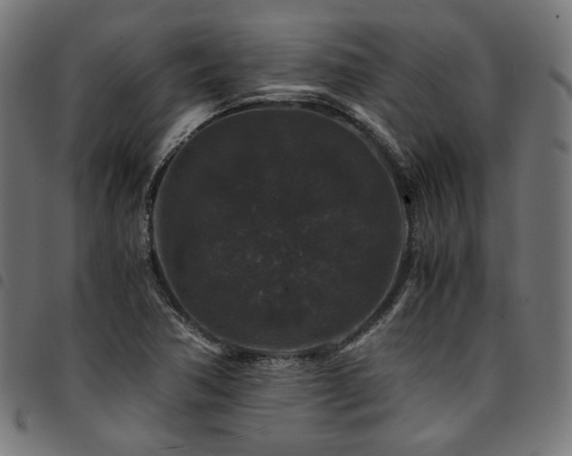 X0000095541362200712141515