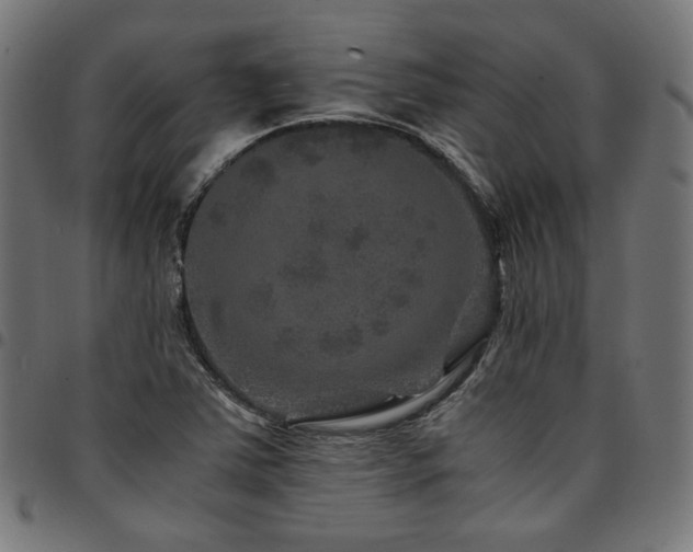 X0000095541363200712141515