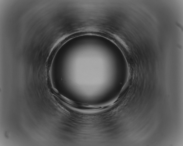 X0000095541364200712141515