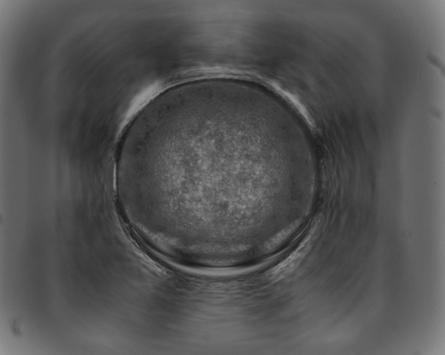 X0000095541365200712141515