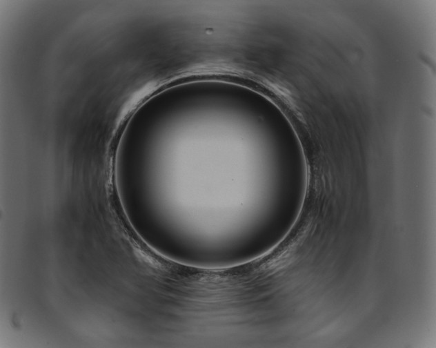 X0000095541366200712141515