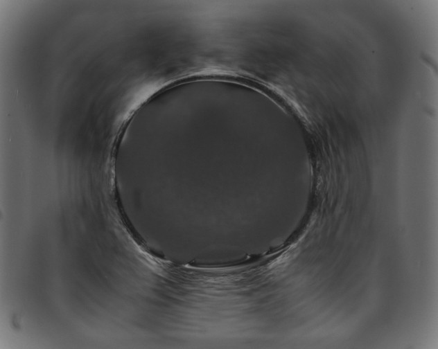 X0000095541367200712141515