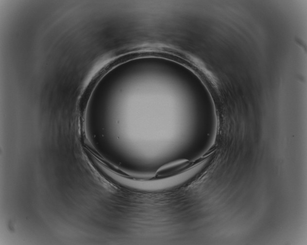 X0000095541368200712141515