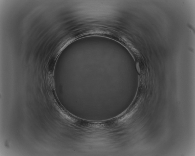 X0000095541369200712141515