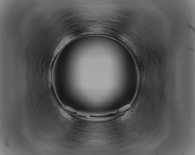 X0000095541370200712141515
