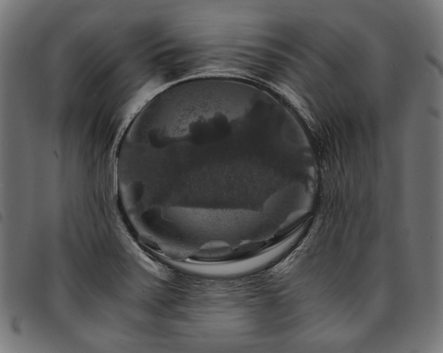 X0000095541371200712141515