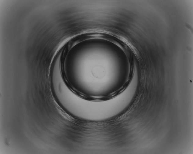 X0000095541372200712141515