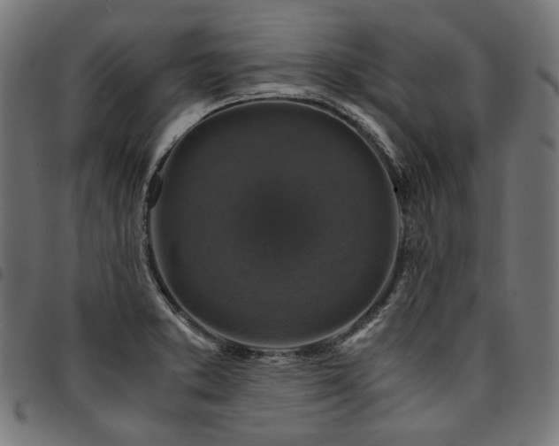 X0000095541373200712141515