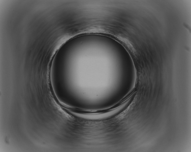 X0000095541374200712141515
