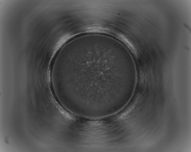 X0000095541376200712141515
