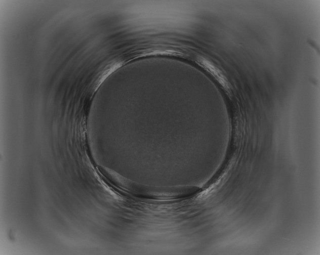 X0000095541377200712141515