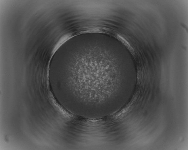 X0000095541378200712141515