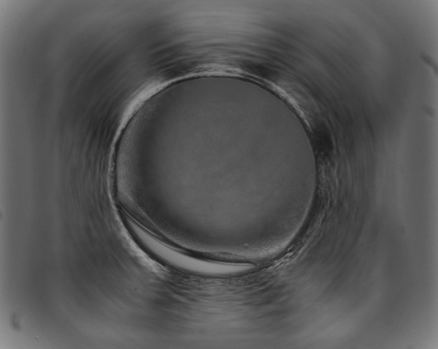 X0000095541379200712141515