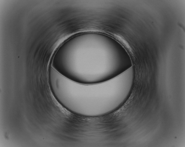 X0000095541380200712141515