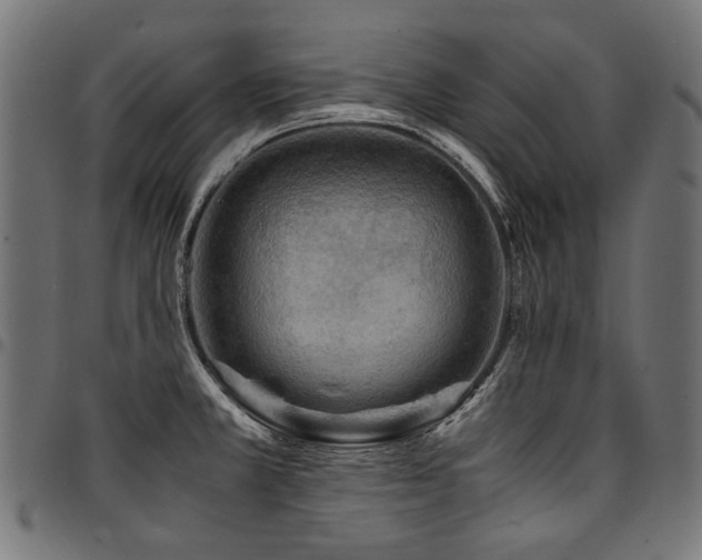 X0000095541381200712141515