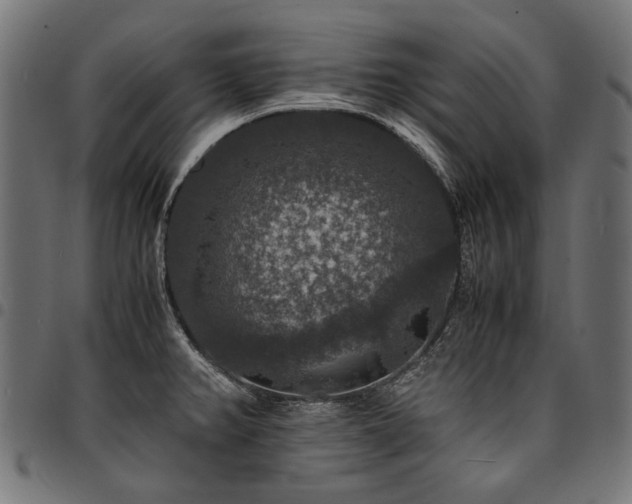 X0000095541382200712141514