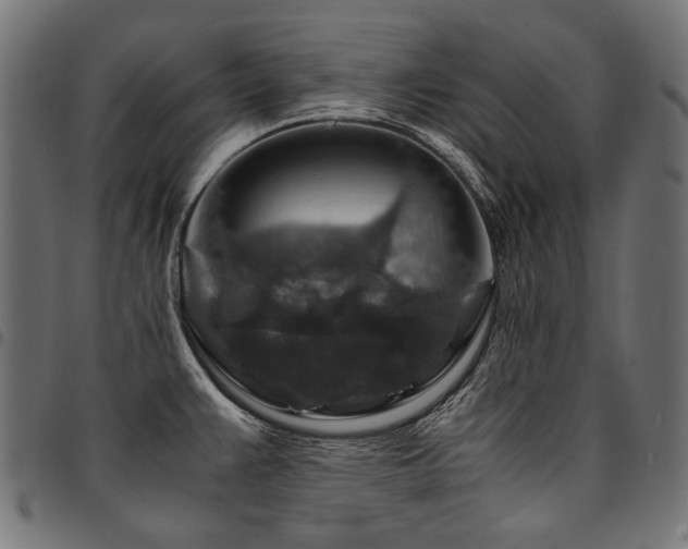 X0000095541383200712141514