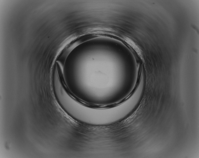 X0000095541384200712141514