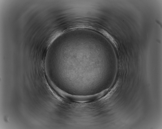 X0000095541385200712141514