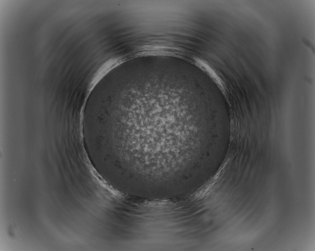 X0000095541386200712141514
