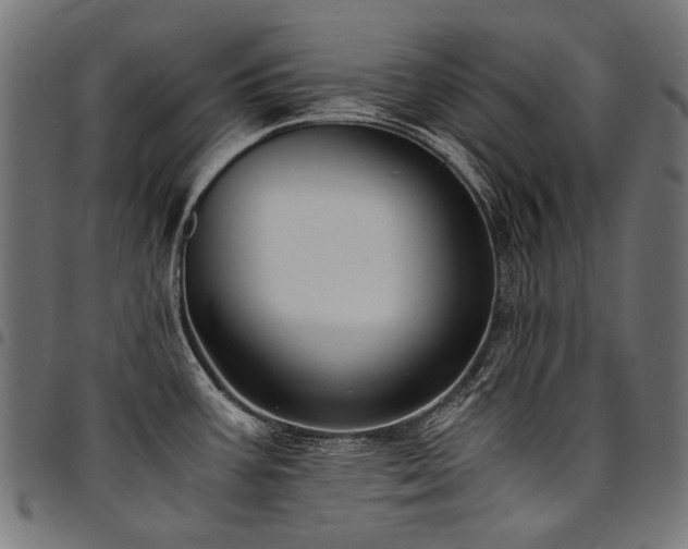 X0000095541387200712141514