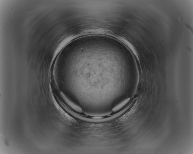 X0000095541389200712141514