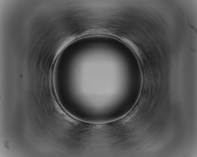 X0000095541390200712141514