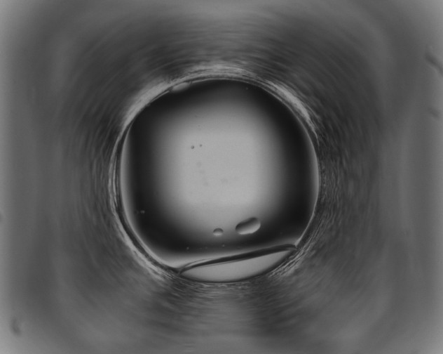 X0000095541391200712141514