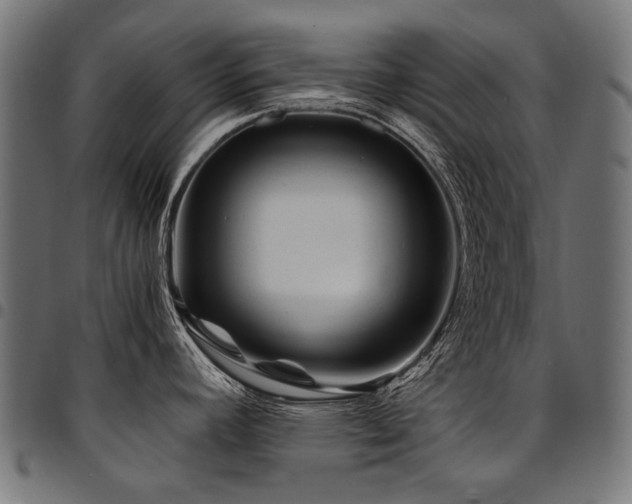 X0000095541392200712141514