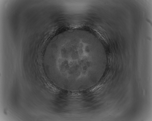 X0000095541393200712141514
